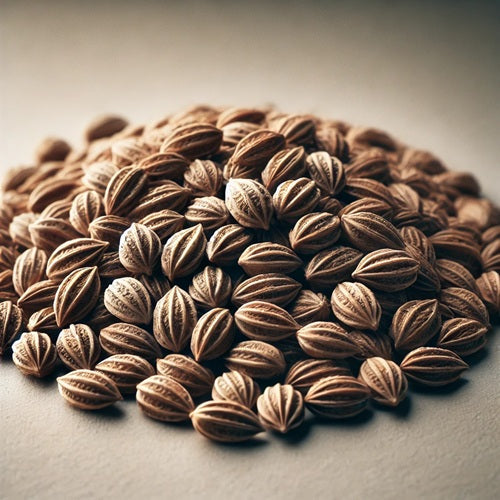 Benefits of Ajwain Seeds - Wholesale B2B Bulk Suppliers in USA