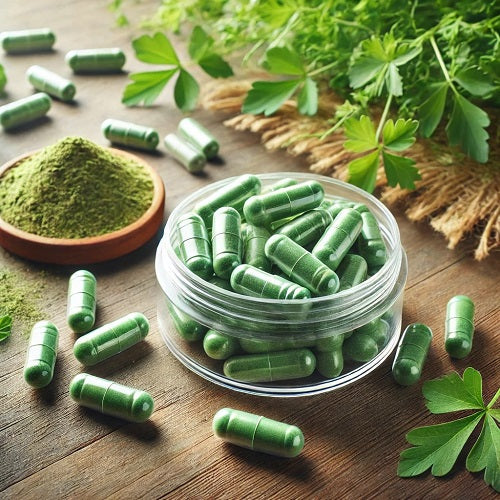 Benefits Of Alfalfa Capsules - Wholesale B2B Bulk Suppliers