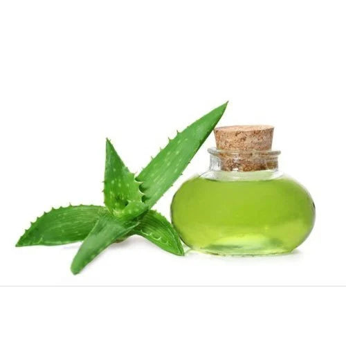 Benefits of Aloe Vera Oil - Wholesale B2B Bulk Suppliers in USA