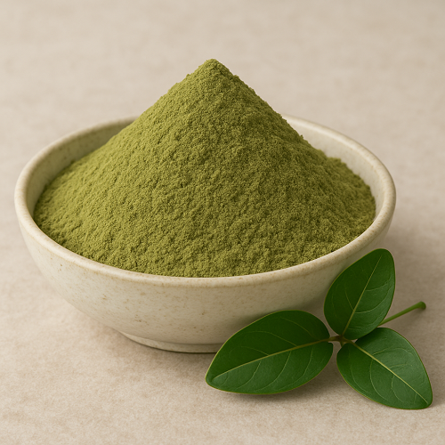 Benefits Of Arjuna Leaf Powder - Wholesale B2B Bulk Suppliers