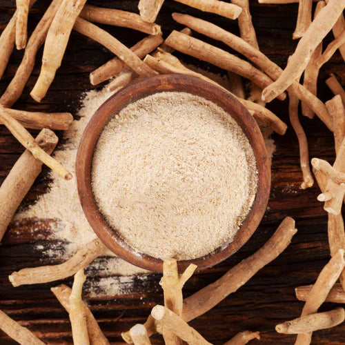 Benefits of Ashwagandha Powder - Wholesale B2B Bulk Suppliers