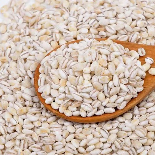 Benefits of Barley Seeds - Wholesale B2B Bulk Suppliers in USA