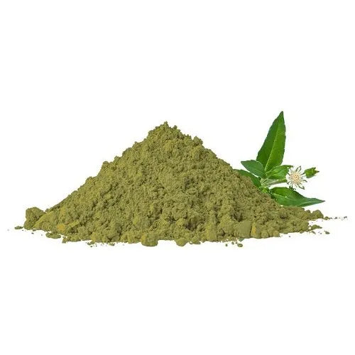 Benefits of Bhringraj Powder - Wholesale B2B Bulk Suppliers