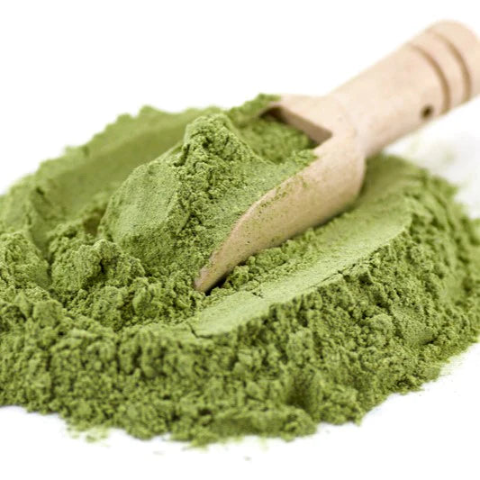Benefits of Broccoli Juice Powder - Wholesale B2B Bulk Suppliers