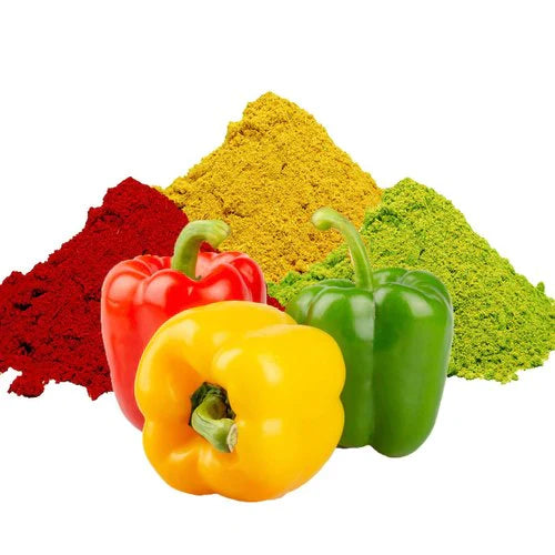 Benefits of Capsicum Powder - Wholesale B2B Bulk Suppliers