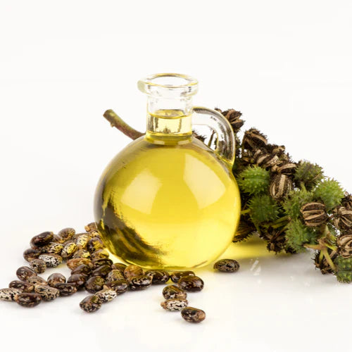 Benefits of Castor Oil - Wholesale B2B Bulk Suppliers in Europe