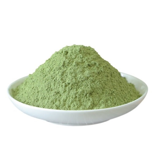 Benefits of Celery Powder - Wholesale B2B Bulk Suppliers in USA