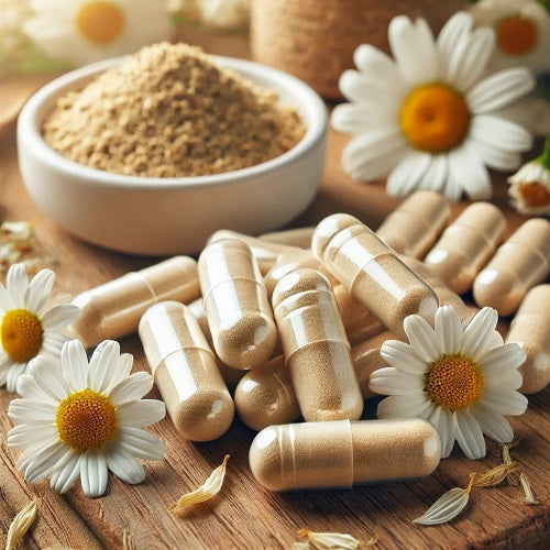 Benefits Of Chamomile Capsules - Wholesale B2B Bulk Suppliers