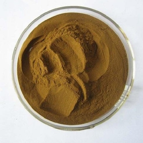 Benefits of Coleus Powder - Wholesale B2B Bulk Suppliers