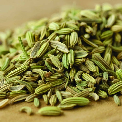 Benefits of Fennel seeds - Wholesale B2B Bulk Suppliers in USA