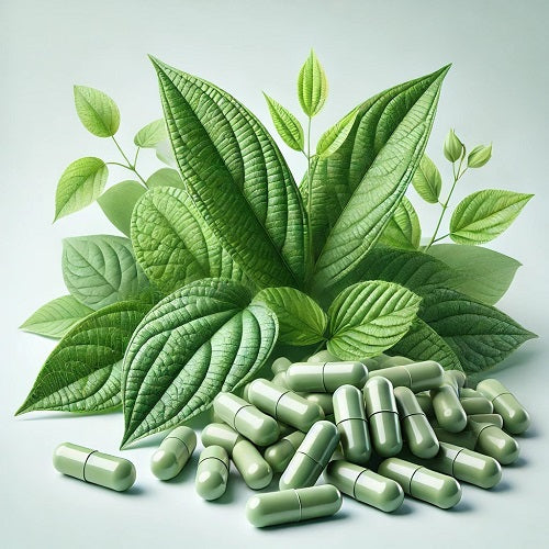 Benefits Of Gymnema Capsules - Wholesale B2B Bulk Suppliers