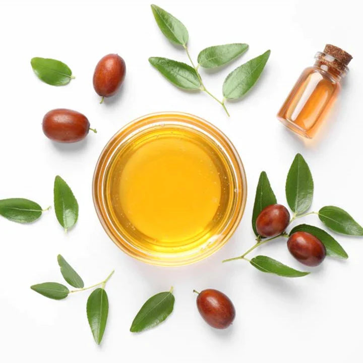 Benefits of Jojoba Oil - Wholesale B2B Bulk Suppliers in USA