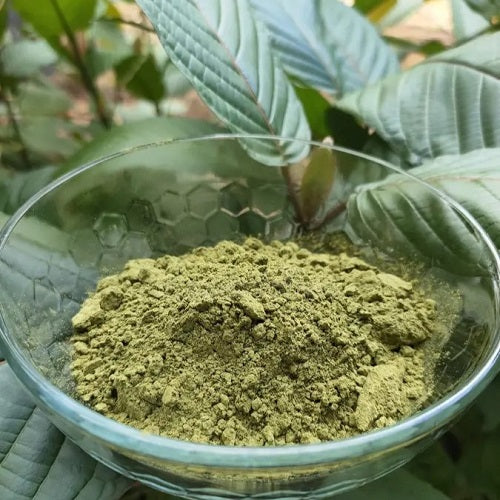 Powdered Kratom Leaf Buy Now in USA