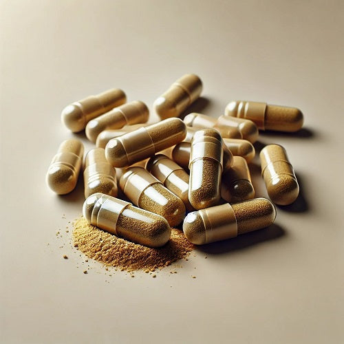 Benefits Of Lodhra Capsules - Wholesale B2B Bulk Suppliers