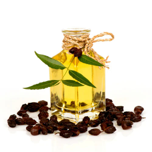 Benefits of Neem Oil - Wholesale B2B Bulk Suppliers in Europe