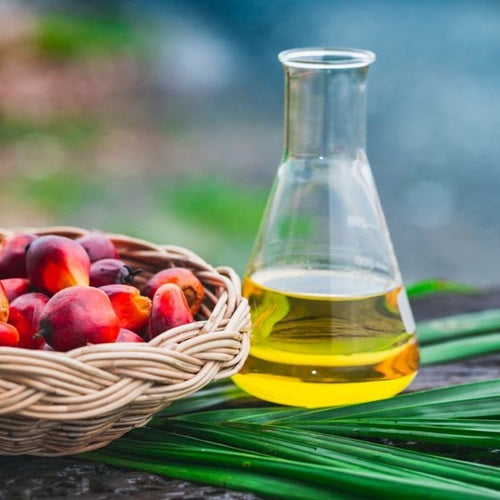 Benefits of Palm Oil - Wholesale B2B Bulk Suppliers in Europe