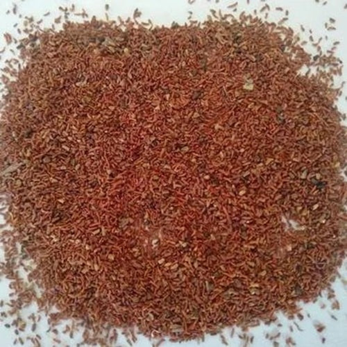 Benefits of Peepal Seeds - Wholesale B2B Bulk Suppliers in USA