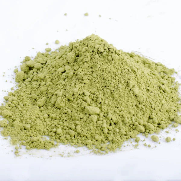Benefits of Snake Gourd Powder - Wholesale B2B Bulk Suppliers