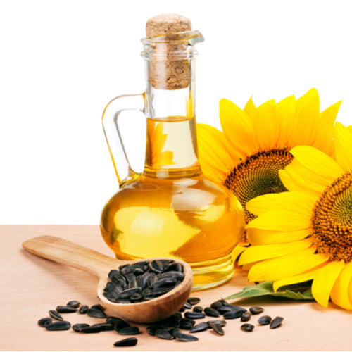 Benefits of Sunflower Oil - Wholesale B2B Bulk Suppliers in USA