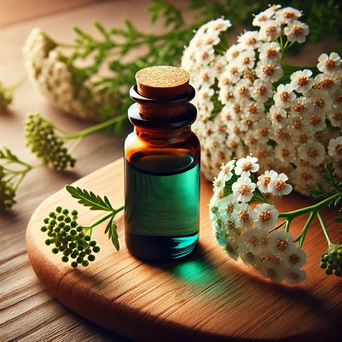Benefits Of Yarrow Essential Oil - Wholesale B2B Bulk Suppliers