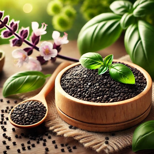 Benefits of Basil Seeds - Wholesale B2B Bulk Suppliers in USA