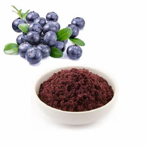 Benefits of Bilberry Powder - Wholesale B2B Bulk Suppliers