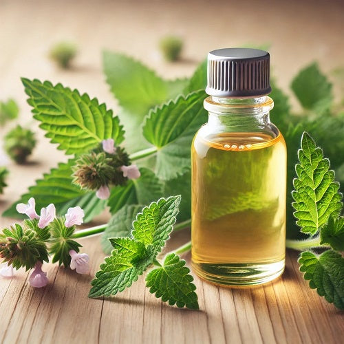 Benefits of Catnip Essential Oil - Wholesale B2B Bulk Suppliers