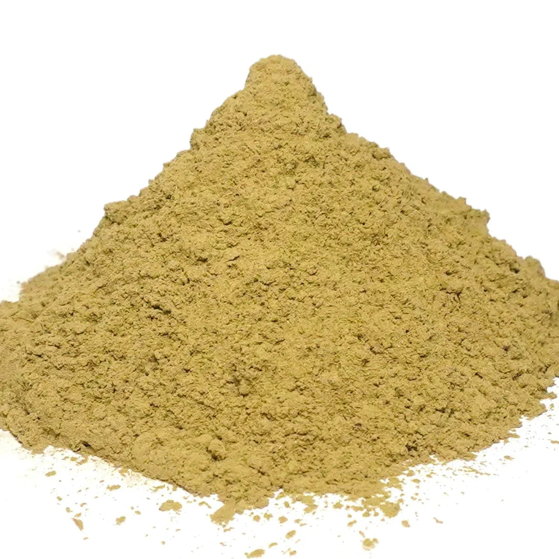 Benefits of Gotu Kola Powder - Wholesale B2B Bulk Suppliers