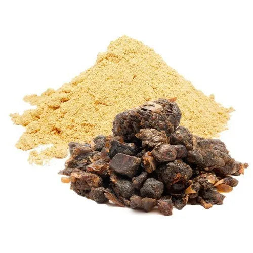 Benefits of Guggul Powder - Wholesale B2B Bulk Suppliers