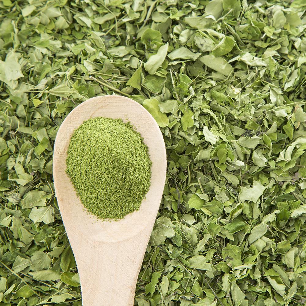 Benefits of Moringa Powder - Wholesale B2B Bulk Suppliers