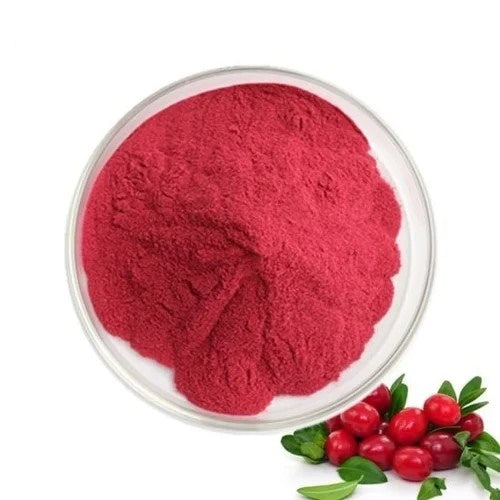 Benefits of Prickly Pear Powder - Wholesale B2B Bulk Suppliers