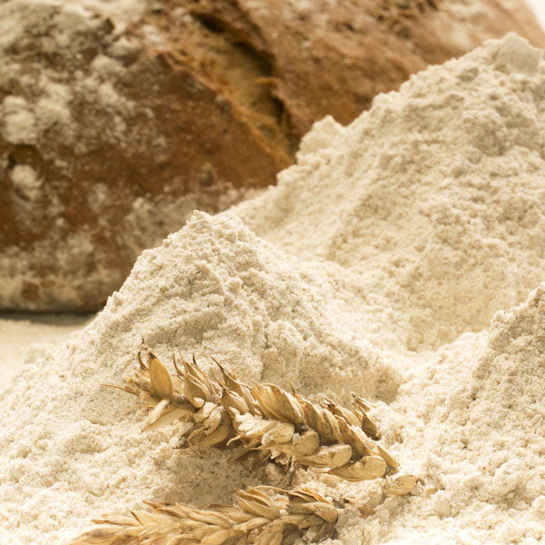 Benefits of Rye Flour - Wholesale B2B Bulk Suppliers in USA
