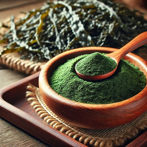 Benefits of Wakame Powder - Wholesale B2B Bulk Suppliers