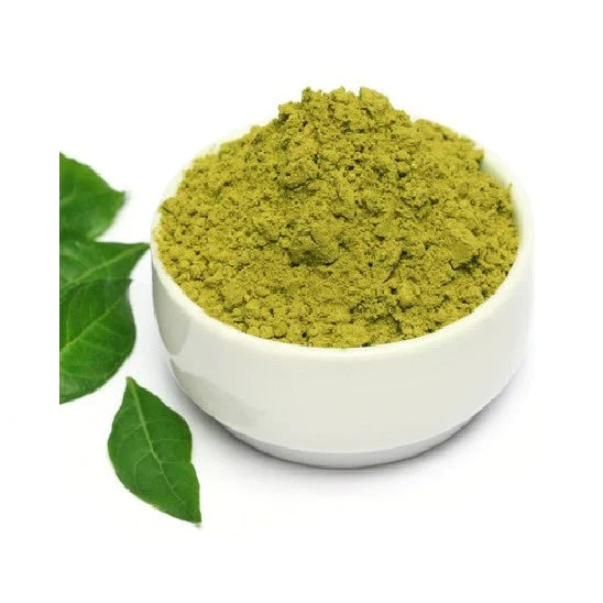 Benefits of Guava leaf Powder - Wholesale B2B Bulk Suppliers in USA