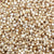 Benefits of Little Millet Seeds - Wholesale B2B Bulk Suppliers in USA