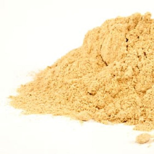 Benefit for Immune Support Maitake Mushroom Powder - Wholesale B2B Bulk Suppliers