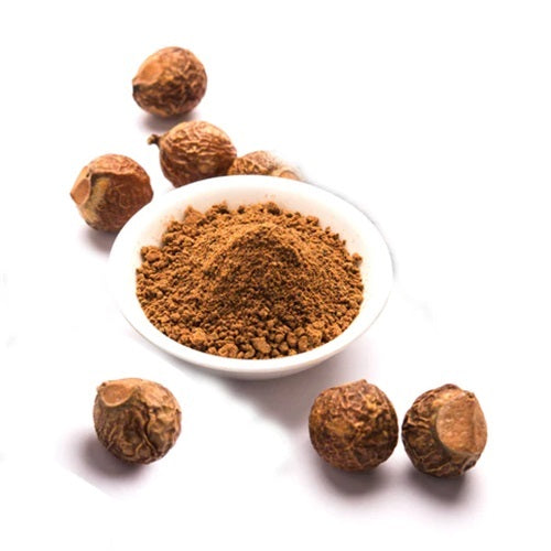 Benefits of Soapnut Powder: As a Natural Shampoo - Wholesale B2B Bulk Suppliers