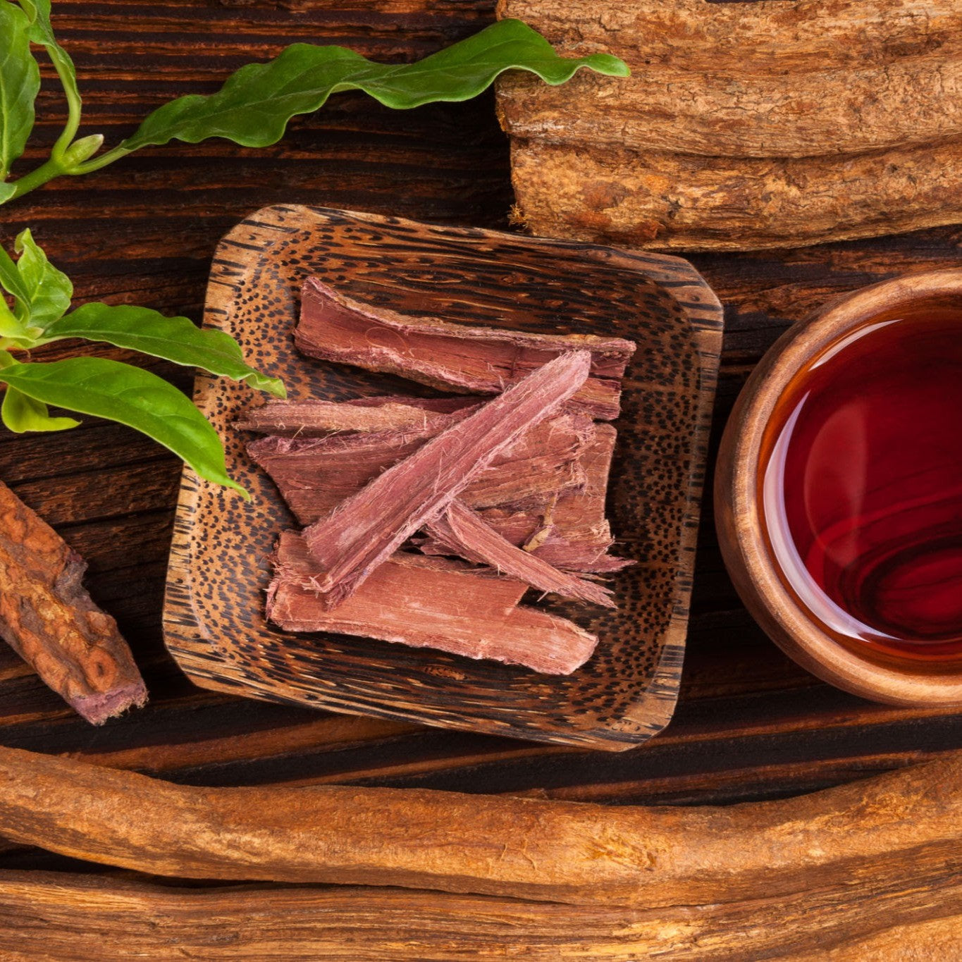 Ethically Sourced Mimosa Hostilis Root Bark: Why It Matters and Where to Find It