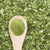 Moringa Benefits: Top 8 Benefits of Moringa Powder