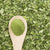 Benefits of Moringa Leaf Powder - Wholesale B2B Bulk Suppliers in USA