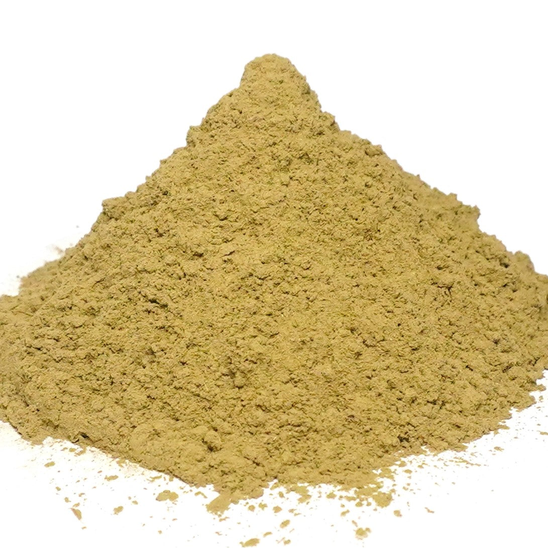 Benefits of Gotu kola Powder - Wholesale B2B Bulk Suppliers in Europe