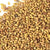 Alfalfa Seeds