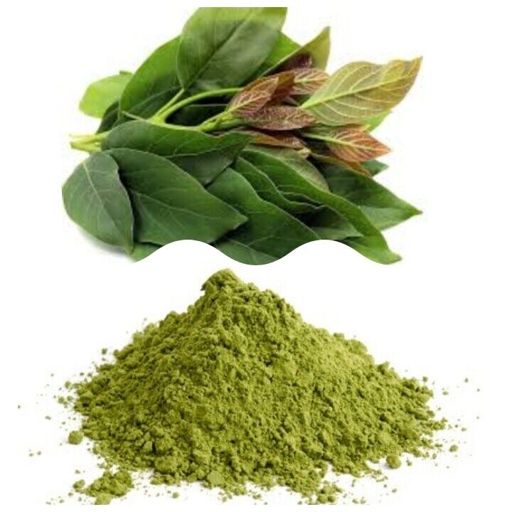 Avocado Leaf Powder