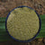 Brown Top Millet Seeds