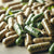 Bugleweed Capsules