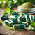 Cilantro Capsules