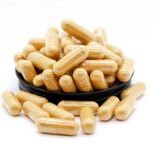 Cordyceps Capsules