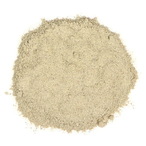 Echinacea Root Powder