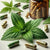 Horny Goat Weed Capsules