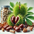 Horse Chestnut Capsules